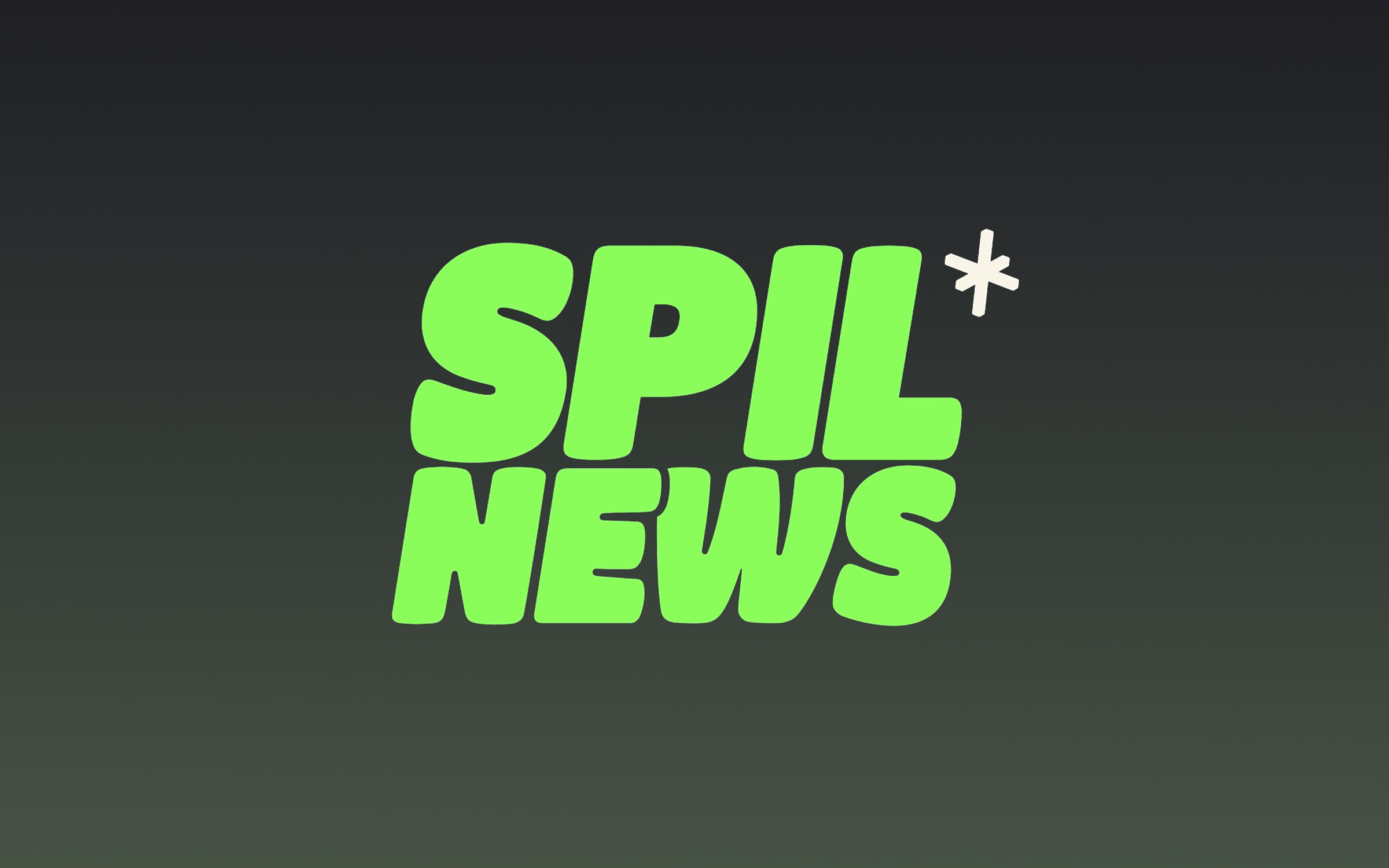 SPILNEWS Coaching